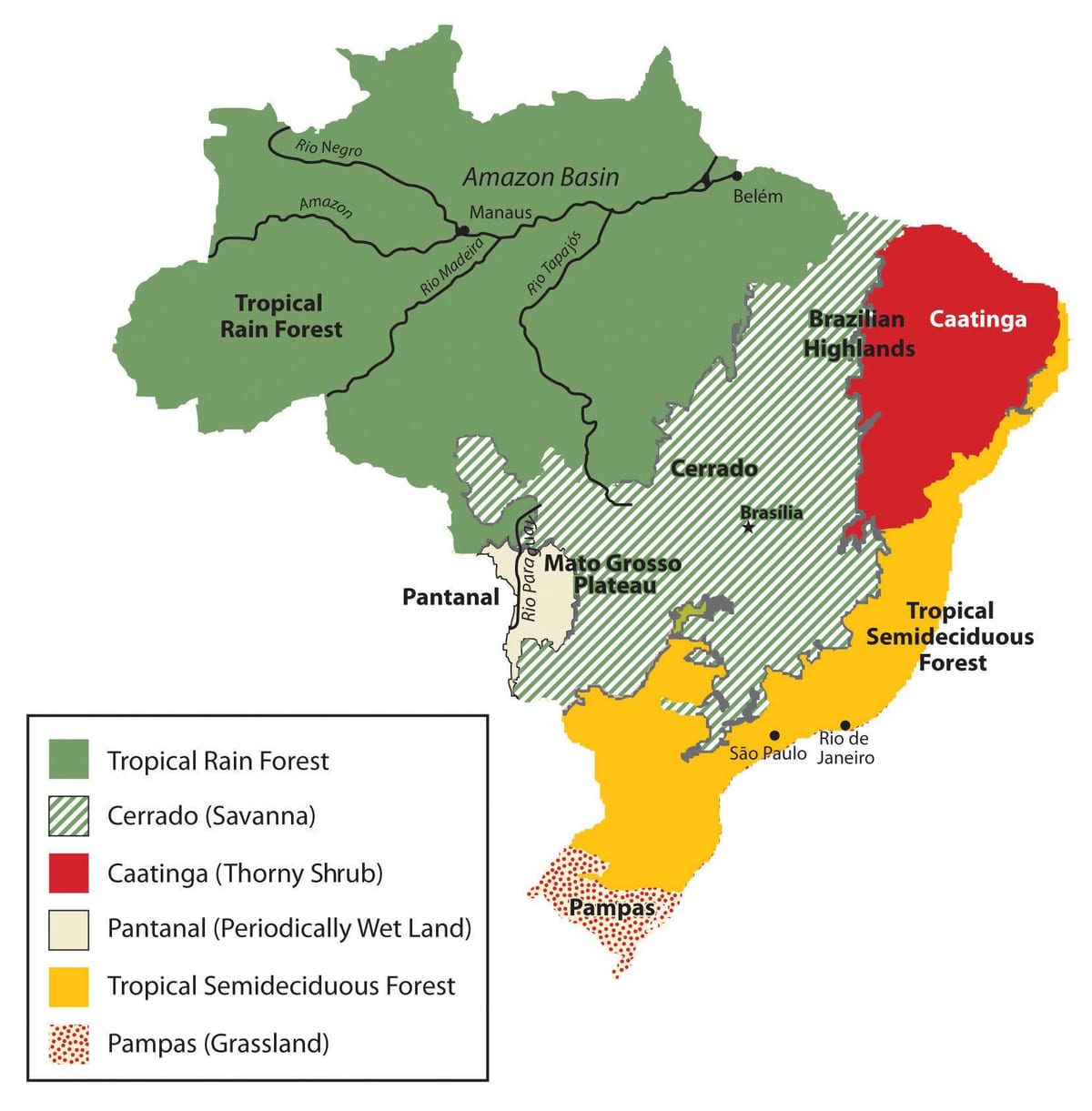 mapa de vegetación Brasil