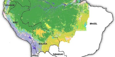 Mapa de bosques de Brasil