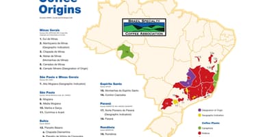 Mapa de Brasil café
