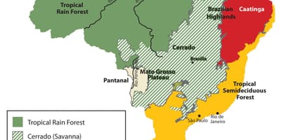 Mapa de vegetación Brasil