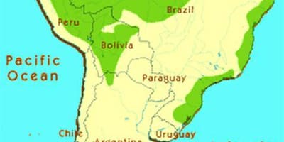 De la selva en Brasil mapa